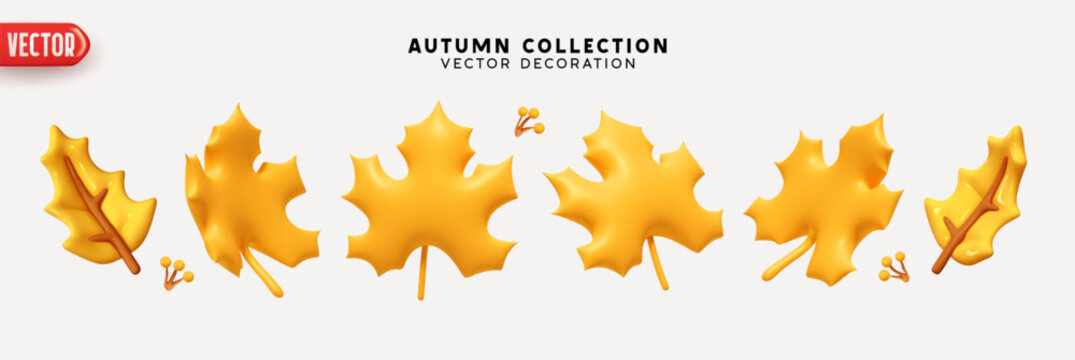 Set of autumn yellow maple leaves on a white background. Realistic 3d cartoon plastic style. Decorative elements for seasonal compositions. vector illustration