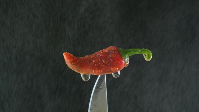 Red Chili Pepper Impaled on the Tip of a Knife and Spray with a Fine Water Spray (UHD)