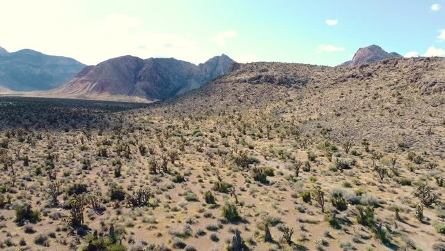 Drone through the desert on a sunny day