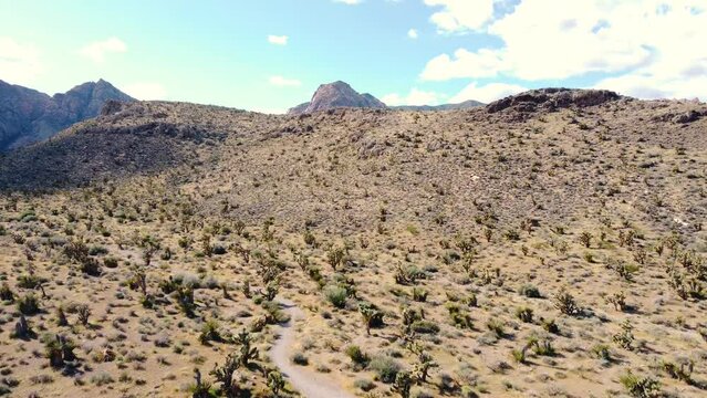 Drone Over the desert on a sunny day