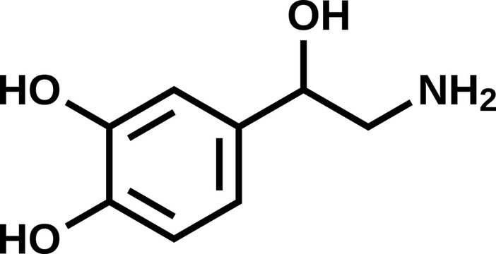Norepinephrine structural formula, noradrenalin vector illustration 