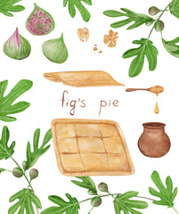 Fig puff pie illustration with fig fruits, walnuts, honey, and puff pastry. It is isolated on a transparent background and decorated with fig tree leaves. Print of ingredients for fig's pie recipe.