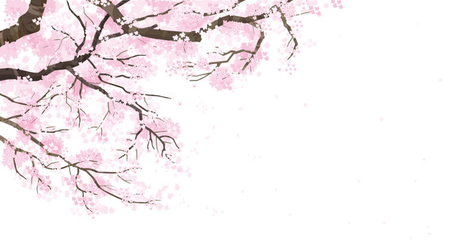 桜の木の背景イラスト
