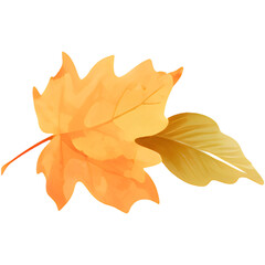 Fototapeta premium Single orange autumn leaves illustration