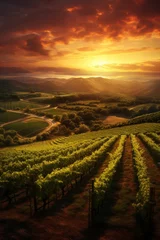 Photo sur Plexiglas Vignoble Generative AI Vineyards at sunset. The concept of agriculture and winemaking. Beautiful natural view of the green rows of vineyards from the ground. Orange dawn sky with clouds.
