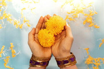 Hindu Ceremonies, Rituals, Spirituality, Religion and Hope Concept. Woman Holdings Marigold Flowers...