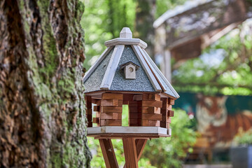 beautiful animals © Thomas