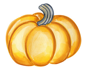 Pumpkin orange watercolor illustration. Isolated hand drawn image of an autumn vegetable. For packaging and menu design.