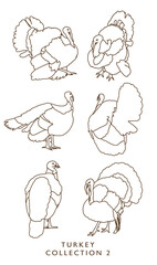 Turkey Illustration Outlines - Collection 2
