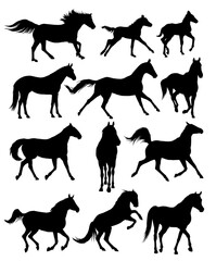 The set of horses silhouettes. 
