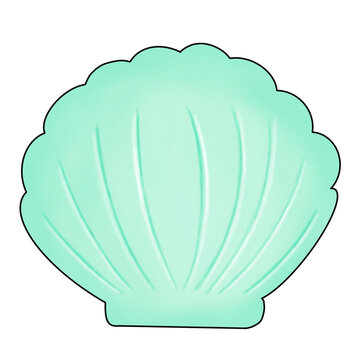 Pastel cute shell