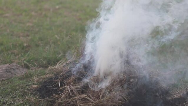 Closeup shot of burn dry grass smoke and flame, pollution and climate change concept, earth ecology global warming using, handheld filming with copy space