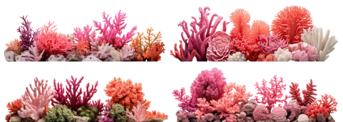 Foto op Plexiglas Set of coral reefs cut out © Yeti Studio