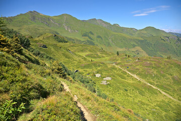 Fototapeta na wymiar Summer in mountains near Bad Gastein, hiking paradise in Austria
