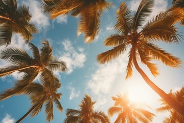 Palm Trees from Below: Natural Tropical Skyline