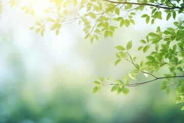 Nature's Embrace: Defocused Foliage in Summer