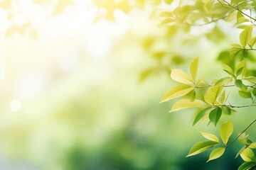 Obraz premium Nature's Embrace: Defocused Foliage in Summer