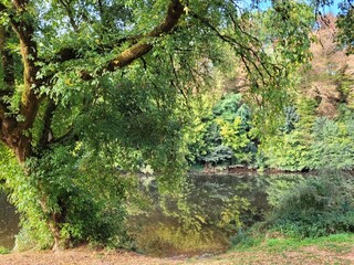 Fototapeta premium Saint Léon sur Vézère, Dordogne, Périgord, Vallée de l'homme, France 