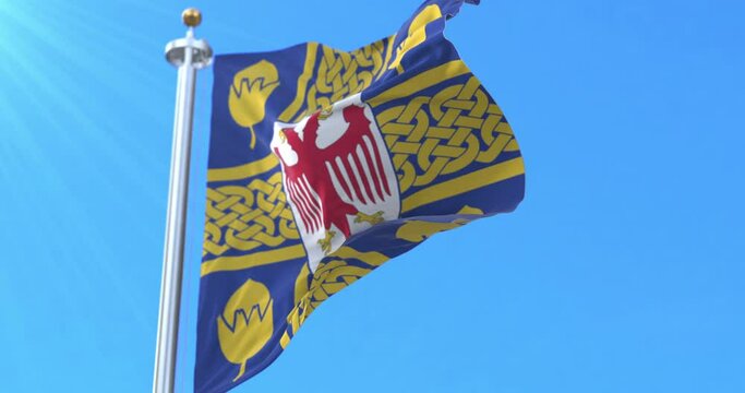 Flag of Leskovac, Serbia. Loop