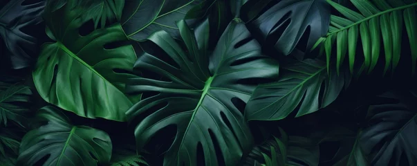 Foto op Plexiglas closeup tropical green leaf background. Flat lay, fresh wallpaper banner concept, Generative AI © Harvinder