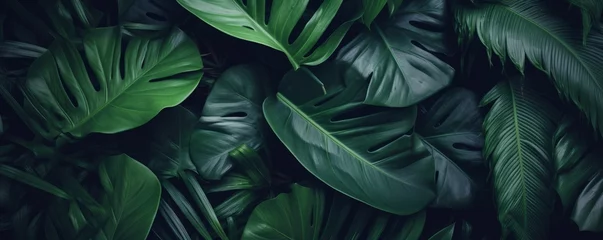 Foto op Plexiglas closeup tropical green leaf background. Flat lay, fresh wallpaper banner concept, Generative AI © Harvinder