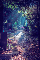 scenic cemetery in foggy sunny day with mysterious atmosphere