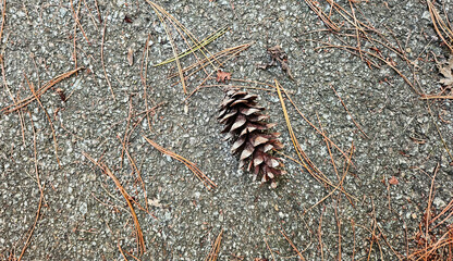 cones on the ground