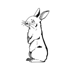 Black and White Rabbit Sketch Vector Illustration Line Art Silhouette Design Element Art SVG EPS Logo PNG Vector Clipart Cutting Cut Cricut