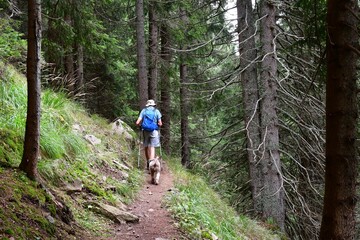 Mann und sein Lagotto Romagnolo Hund wandern in der Nähe des Gampenpass in Südtirol 