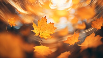 Autumn Fall Season with leaf