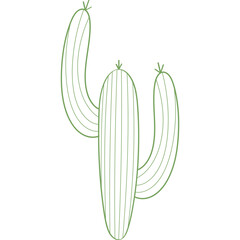 Cactus Western Boho