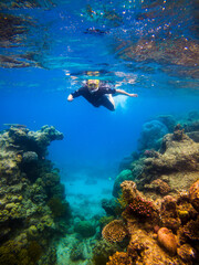 Dive into the enchanting underwater world of the Great Barrier Reef, where vibrant marine life thrives amidst crystal-clear waters, a paradise for underwater photographers and ocean enthusiasts. © Klima-Media