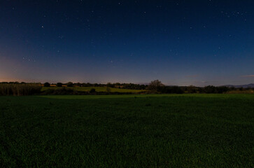 Noche bajo las estrellas