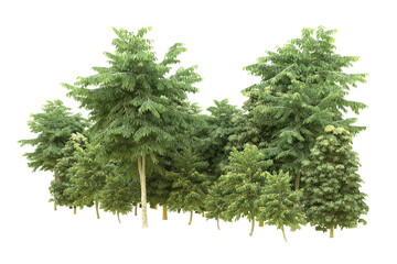 Fototapeta premium Realistic forest isolated on transparent background. 3d rendering - illustration
