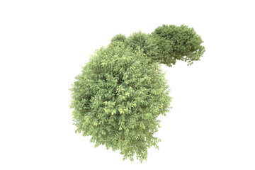 Obraz premium Realistic forest isolated on transparent background. 3d rendering - illustration