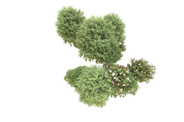 Realistic forest isolated on transparent background. 3d rendering - illustration