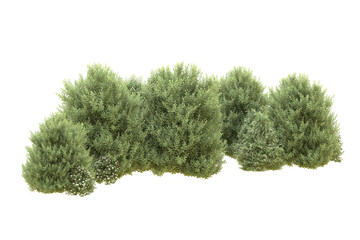 Realistic forest isolated on transparent background. 3d rendering - illustration © Elscar Studios