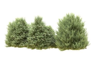 Fototapeta premium Realistic forest isolated on transparent background. 3d rendering - illustration