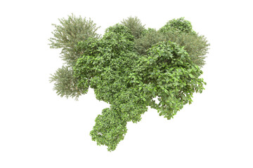 Obraz premium Realistic forest isolated on transparent background. 3d rendering - illustration