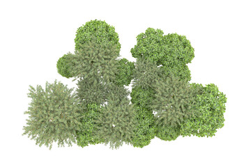 Obraz premium Realistic forest isolated on transparent background. 3d rendering - illustration
