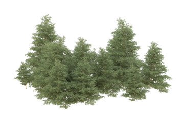 Fototapeta premium Realistic forest isolated on transparent background. 3d rendering - illustration