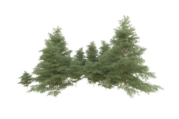 Realistic forest isolated on transparent background. 3d rendering - illustration