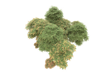 Obraz premium Realistic forest isolated on transparent background. 3d rendering - illustration