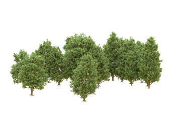 Realistic forest isolated on transparent background. 3d rendering - illustration © Elscar Studios