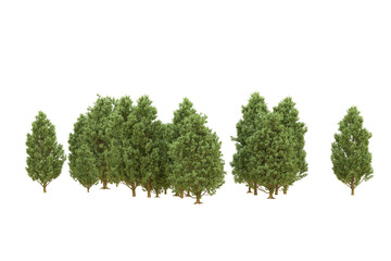 Realistic forest isolated on transparent background. 3d rendering - illustration