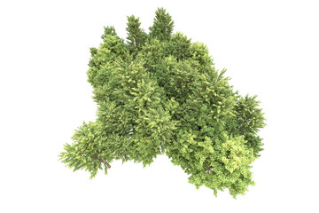 Fototapeta premium Realistic forest isolated on transparent background. 3d rendering - illustration