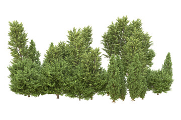 Fototapeta premium Realistic forest isolated on transparent background. 3d rendering - illustration