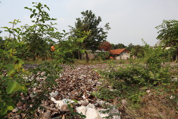 Dried coconut trash near residential areas