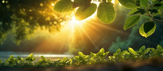 Solar energy is the necessary and eco friendly power the world needs coming from sunlight through trees like a powerful factory