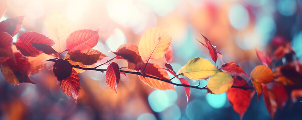 Autumn leaves on a branch. Banner.